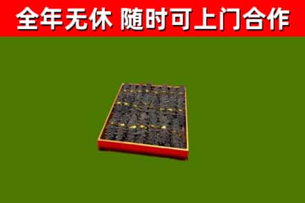 宁德烟酒回收海参.jpg